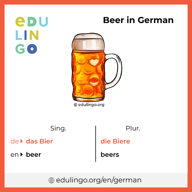 Beer in German vocabulary picture with singular and plural for download and printing