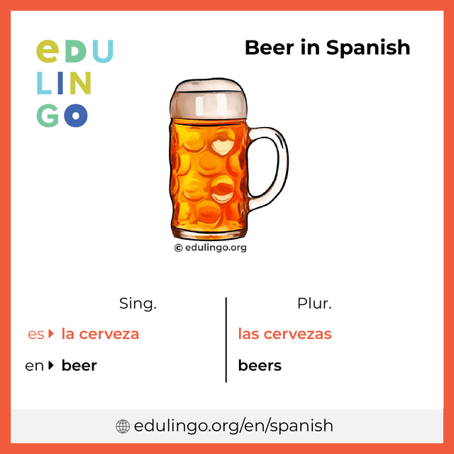 Beer in Spanish vocabulary picture with singular and plural for download and printing