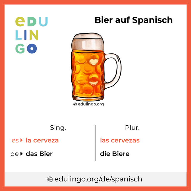 Bier auf Spanisch Vokabelbild mit Singular und Plural zum Herunterladen und Ausdrucken