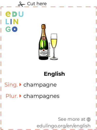 Champagne in English vocabulary flashcard for printing, practicing and learning