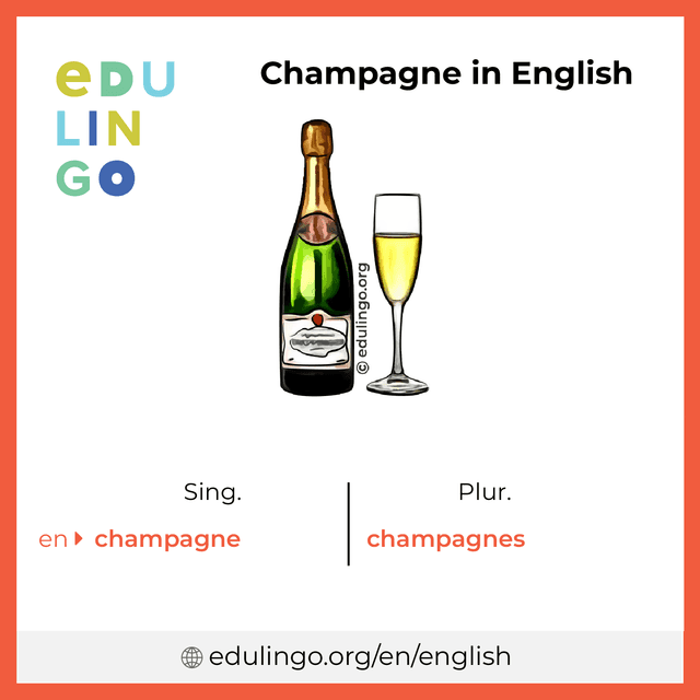 Champagne in English vocabulary picture with singular and plural for download and printing