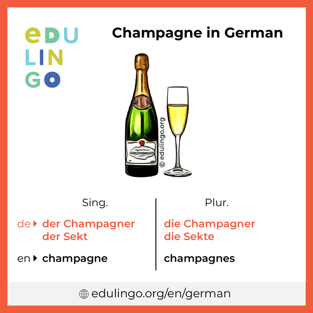 Champagne in German vocabulary picture with singular and plural for download and printing