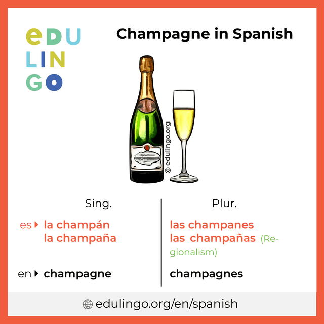 Champagne in Spanish vocabulary picture with singular and plural for download and printing