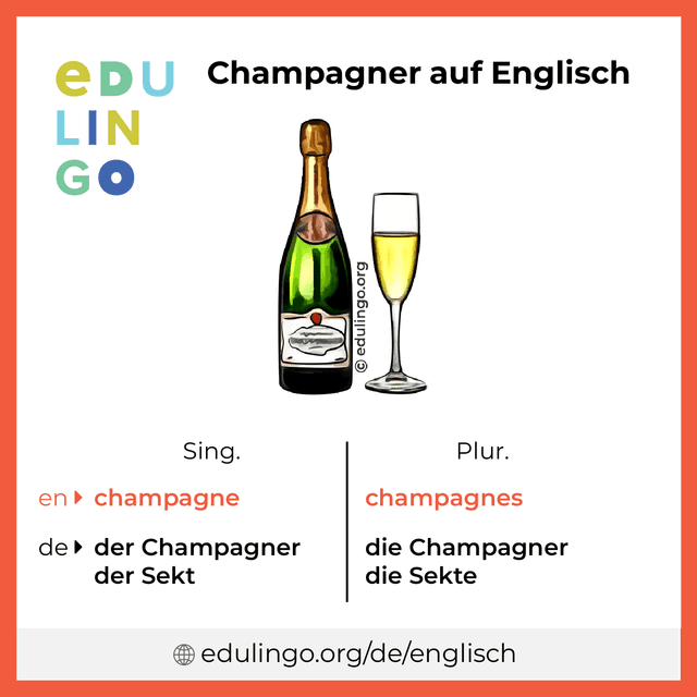 Champagner auf Englisch Vokabelbild mit Singular und Plural zum Herunterladen und Ausdrucken