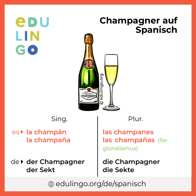 Champagner auf Spanisch Vokabelbild mit Singular und Plural zum Herunterladen und Ausdrucken