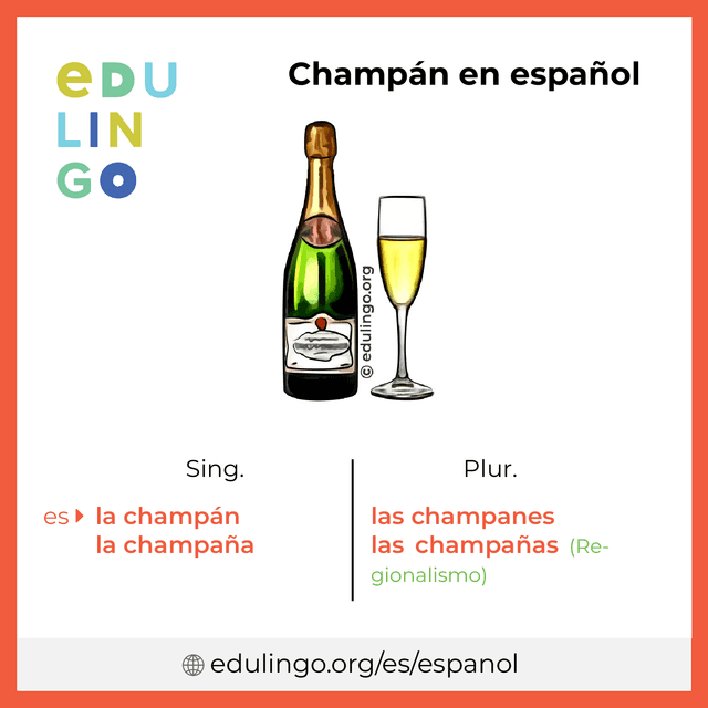 Imagen de vocabulario Champán en español con singular y plural para descargar e imprimir