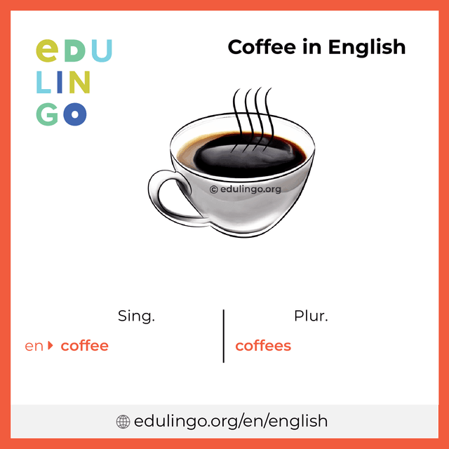Coffee in English vocabulary picture with singular and plural for download and printing