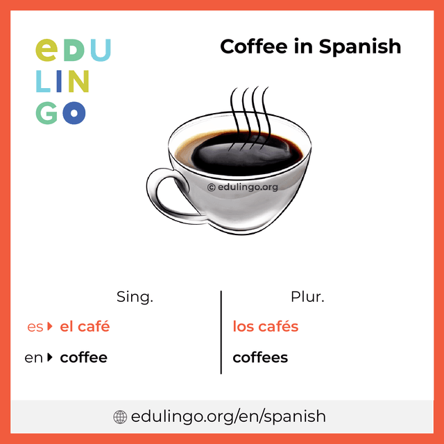 Coffee in Spanish vocabulary picture with singular and plural for download and printing