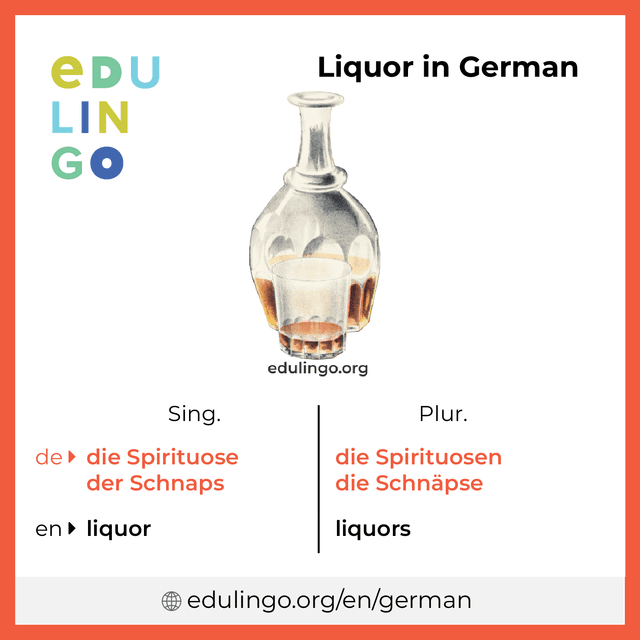 Liquor in German vocabulary picture with singular and plural for download and printing