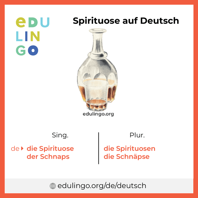 Spirituose auf Deutsch Vokabelbild mit Singular und Plural zum Herunterladen und Ausdrucken