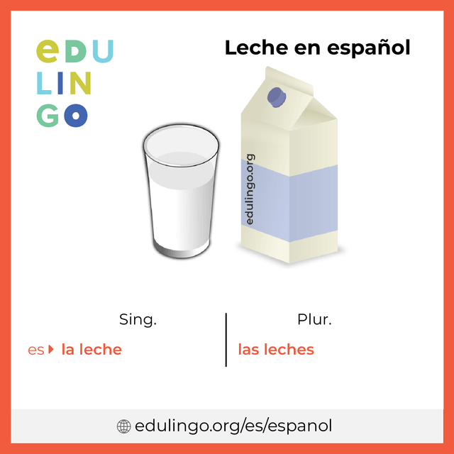 Imagen de vocabulario Leche en español con singular y plural para descargar e imprimir