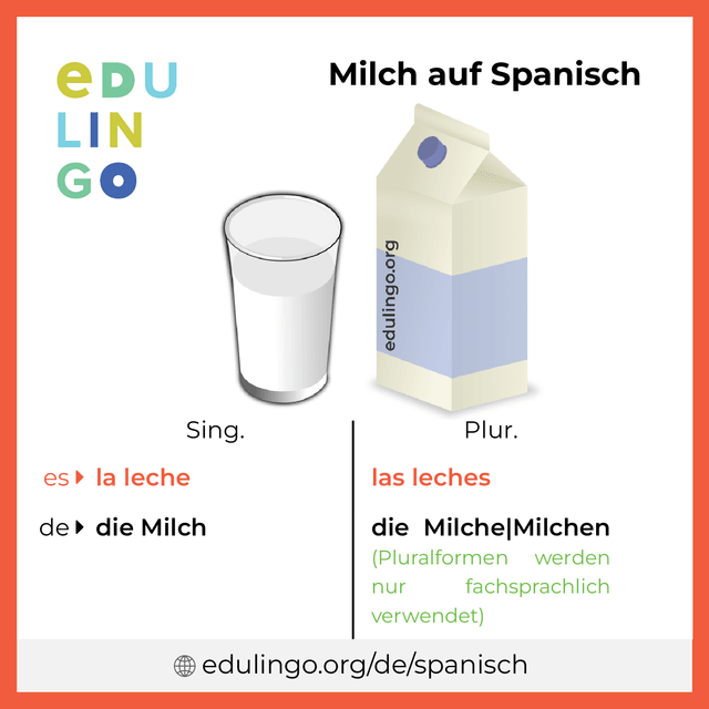 Milch auf Spanisch Vokabelbild mit Singular und Plural zum Herunterladen und Ausdrucken