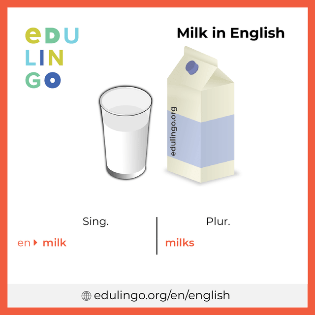 Milk in English vocabulary picture with singular and plural for download and printing