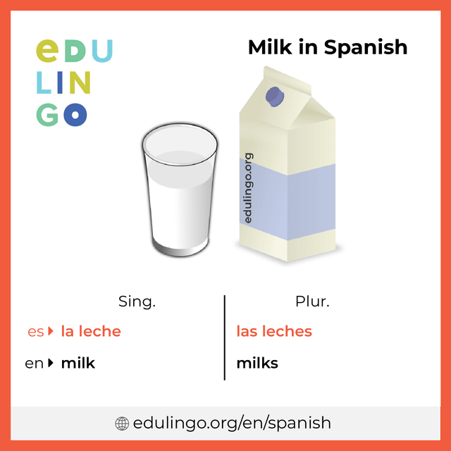 Milk in Spanish vocabulary picture with singular and plural for download and printing
