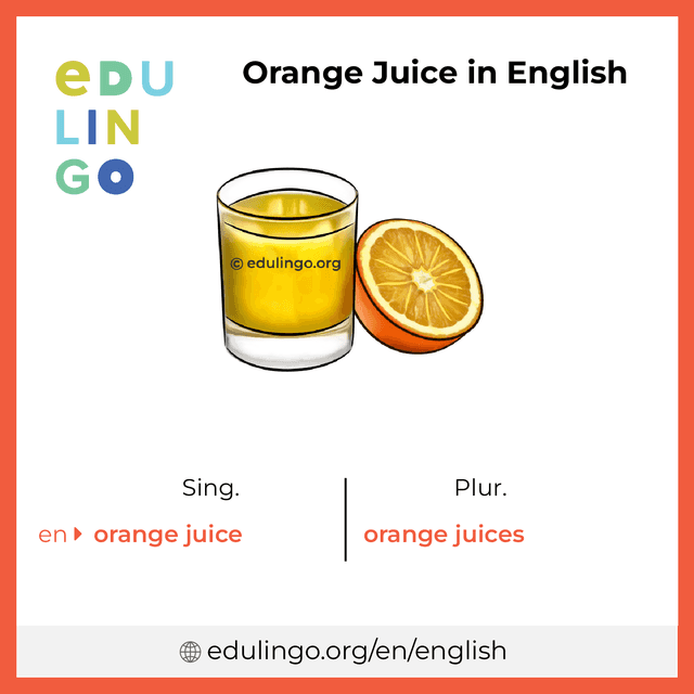 Orange Juice in English vocabulary picture with singular and plural for download and printing