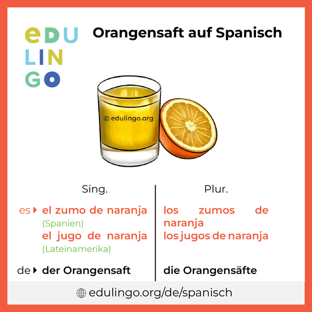 Orangensaft auf Spanisch Vokabelbild mit Singular und Plural zum Herunterladen und Ausdrucken