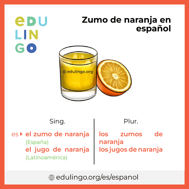 Imagen de vocabulario Zumo de naranja en español con singular y plural para descargar e imprimir