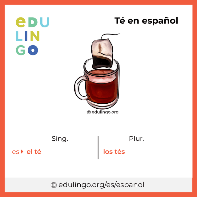 Imagen de vocabulario Té en español con singular y plural para descargar e imprimir