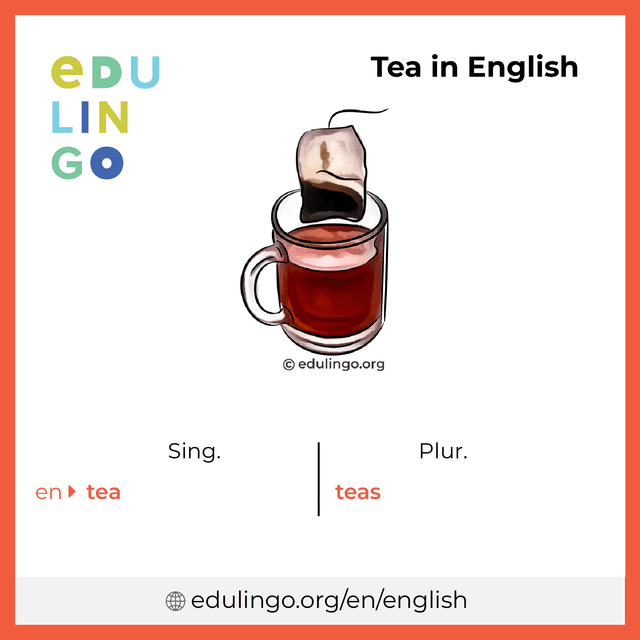 Tea in English vocabulary picture with singular and plural for download and printing
