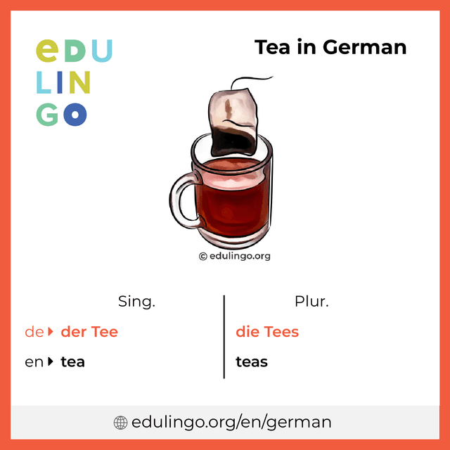 Tea in German vocabulary picture with singular and plural for download and printing