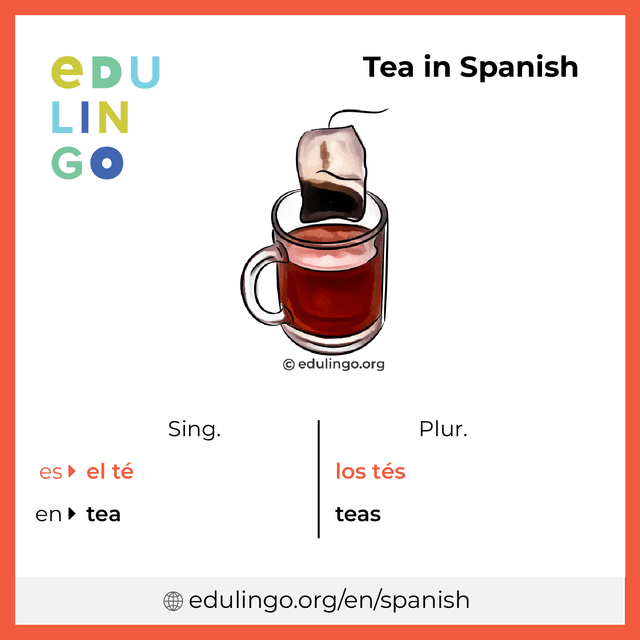 Tea in Spanish vocabulary picture with singular and plural for download and printing