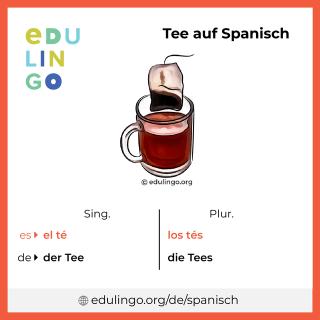 Tee auf Spanisch Vokabelbild mit Singular und Plural zum Herunterladen und Ausdrucken