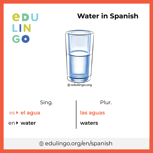 Water in Spanish vocabulary picture with singular and plural for download and printing