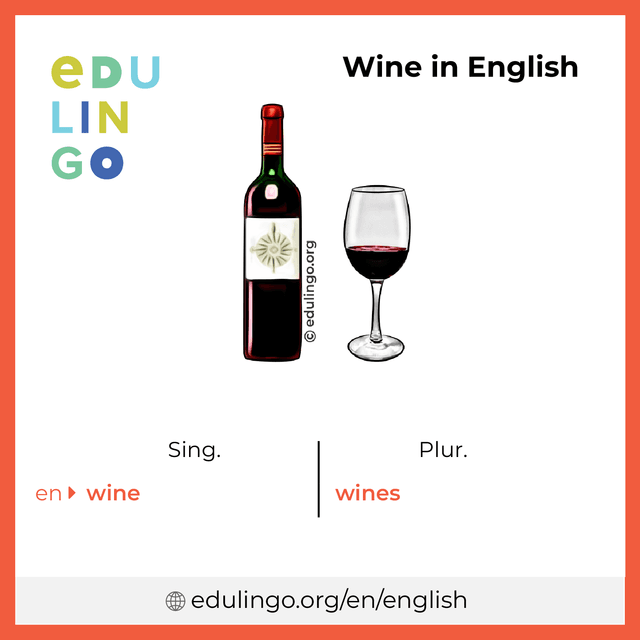 Wine in English vocabulary picture with singular and plural for download and printing