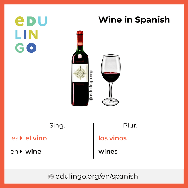 Wine in Spanish vocabulary picture with singular and plural for download and printing