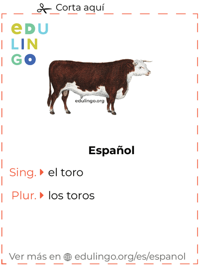 Ficha de Vocabulario Toro en español para imprimir, practicar y aprender