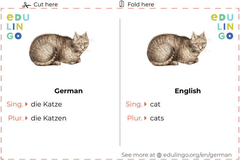 Cat in German vocabulary flashcard for printing, practicing and learning