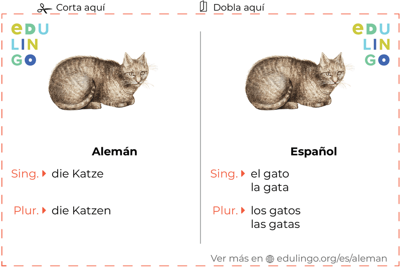 Ficha de Vocabulario Gato en alemán para imprimir, practicar y aprender