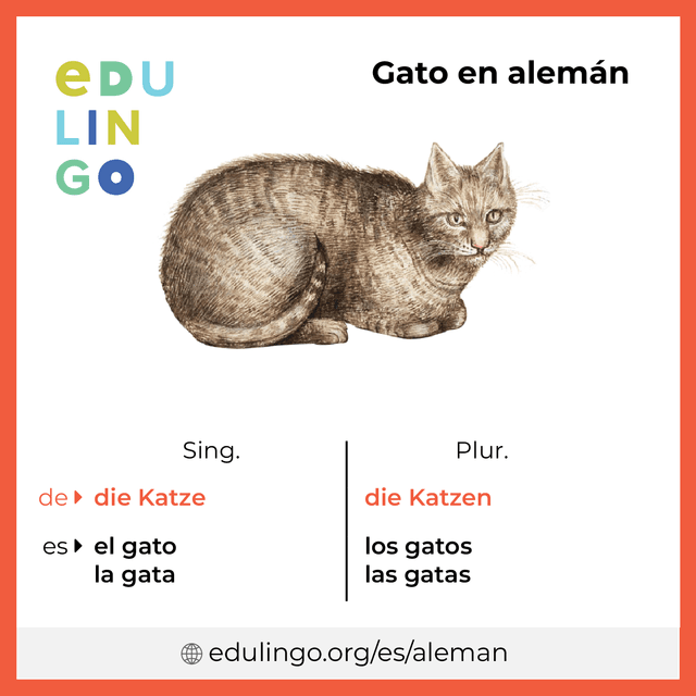 Imagen de vocabulario Gato en alemán con singular y plural para descargar e imprimir