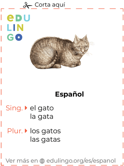 Ficha de Vocabulario Gato en español para imprimir, practicar y aprender