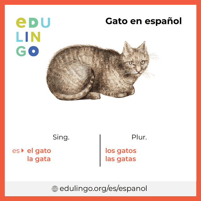 Imagen de vocabulario Gato en español con singular y plural para descargar e imprimir