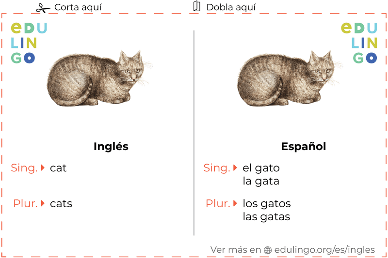 Ficha de Vocabulario Gato en inglés para imprimir, practicar y aprender