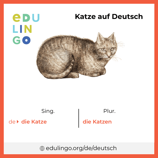 Katze auf Deutsch Vokabelbild mit Singular und Plural zum Herunterladen und Ausdrucken