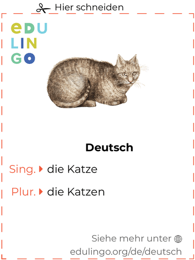 Katze auf Deutsch Vokabelkartei zum Ausdrucken, Üben und Lernen