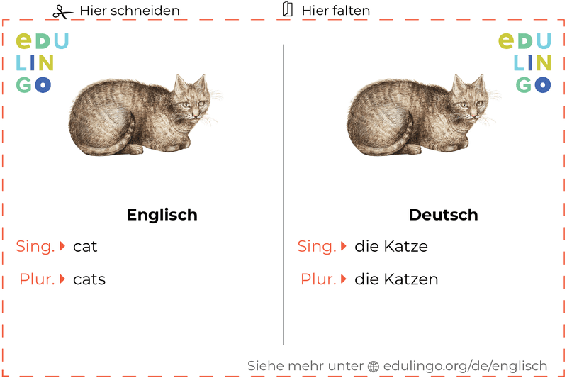 Katze auf Englisch Vokabelkartei zum Ausdrucken, Üben und Lernen