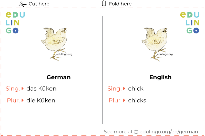 Chick in German vocabulary flashcard for printing, practicing and learning