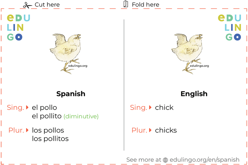 Chick in Spanish vocabulary flashcard for printing, practicing and learning