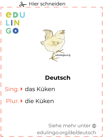 Küken auf Deutsch Vokabelkartei zum Ausdrucken, Üben und Lernen
