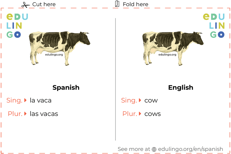 Cow in Spanish vocabulary flashcard for printing, practicing and learning