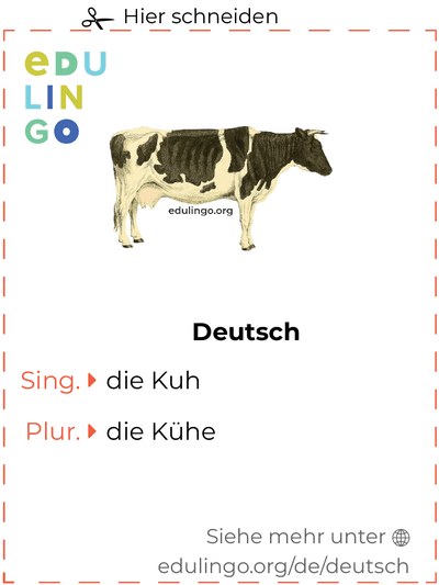 Kuh auf Deutsch Vokabelkartei zum Ausdrucken, Üben und Lernen