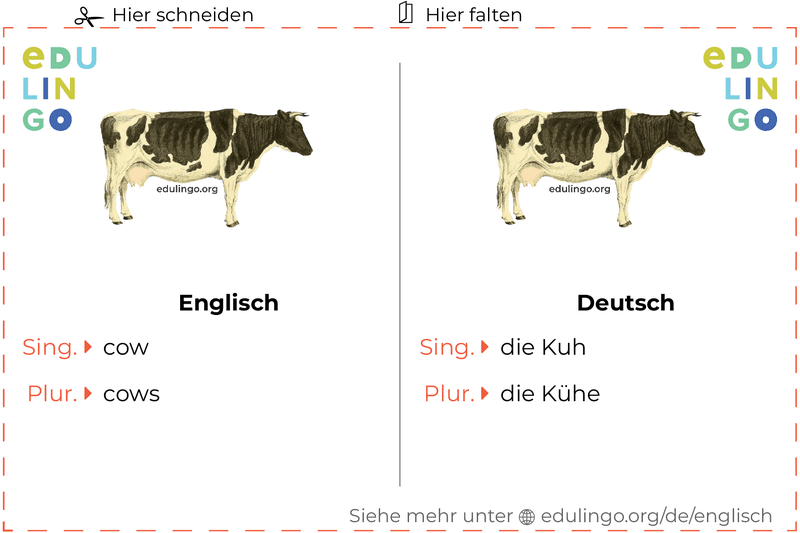 Kuh auf Englisch Vokabelkartei zum Ausdrucken, Üben und Lernen