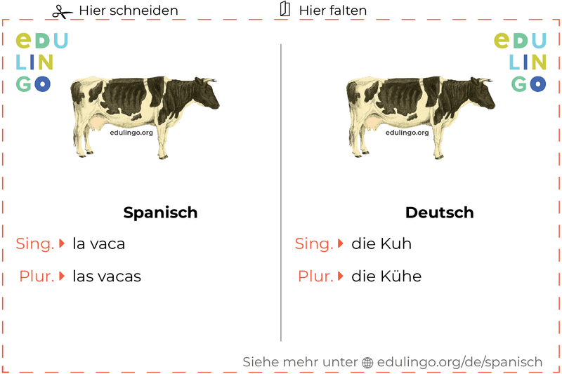 Kuh auf Spanisch Vokabelkartei zum Ausdrucken, Üben und Lernen