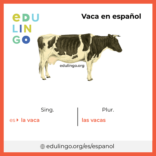 Imagen de vocabulario Vaca en español con singular y plural para descargar e imprimir