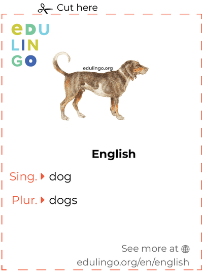 Dog in English vocabulary flashcard for printing, practicing and learning