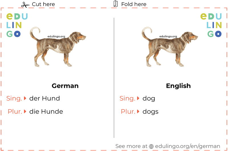 Dog in German vocabulary flashcard for printing, practicing and learning