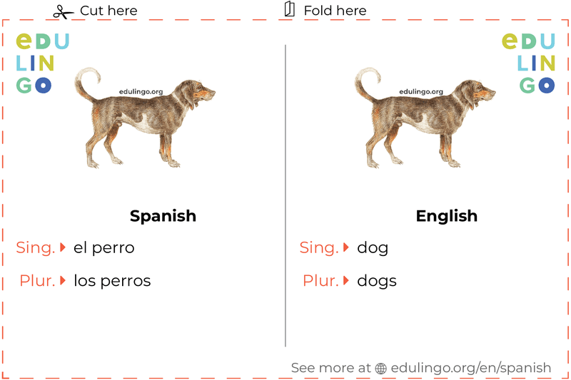Dog in Spanish vocabulary flashcard for printing, practicing and learning